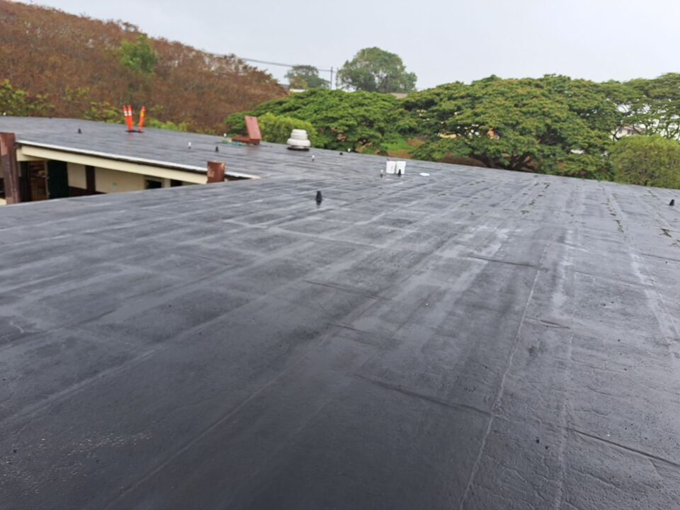 REFLEX Roof Coating Project 4